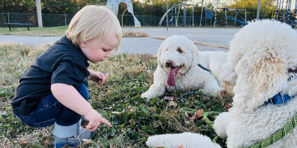 Dog Trainer in Venedy