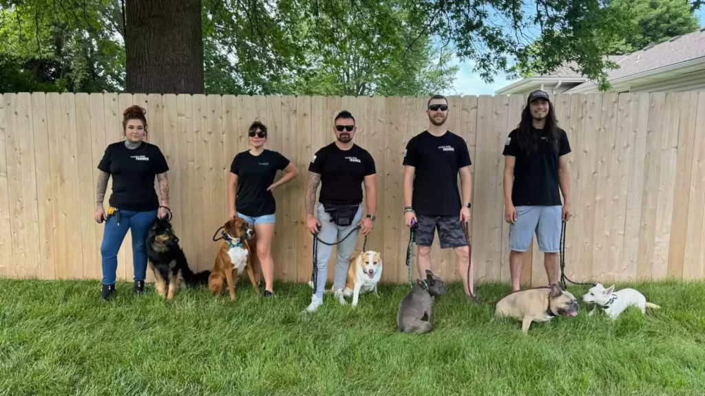 Camp Lucky Dog Trainers