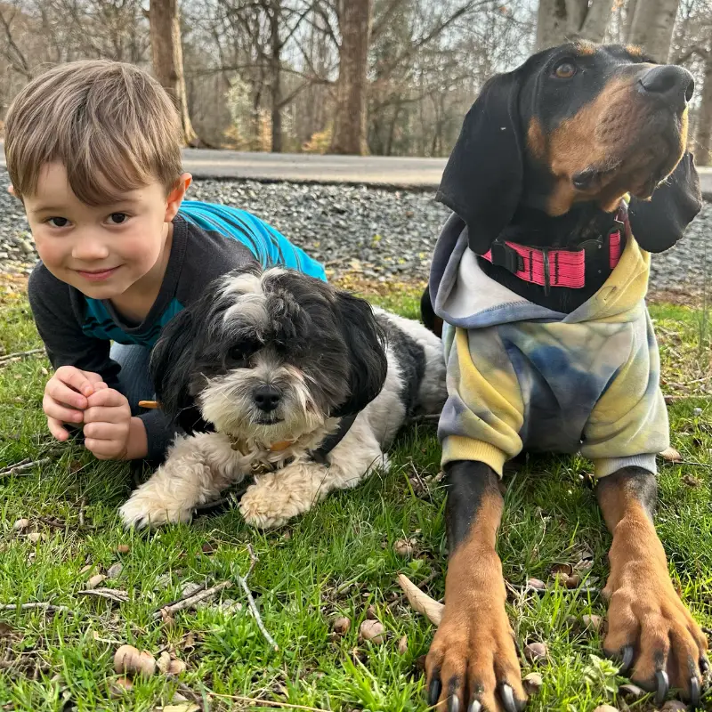 Dog Training Benefits
